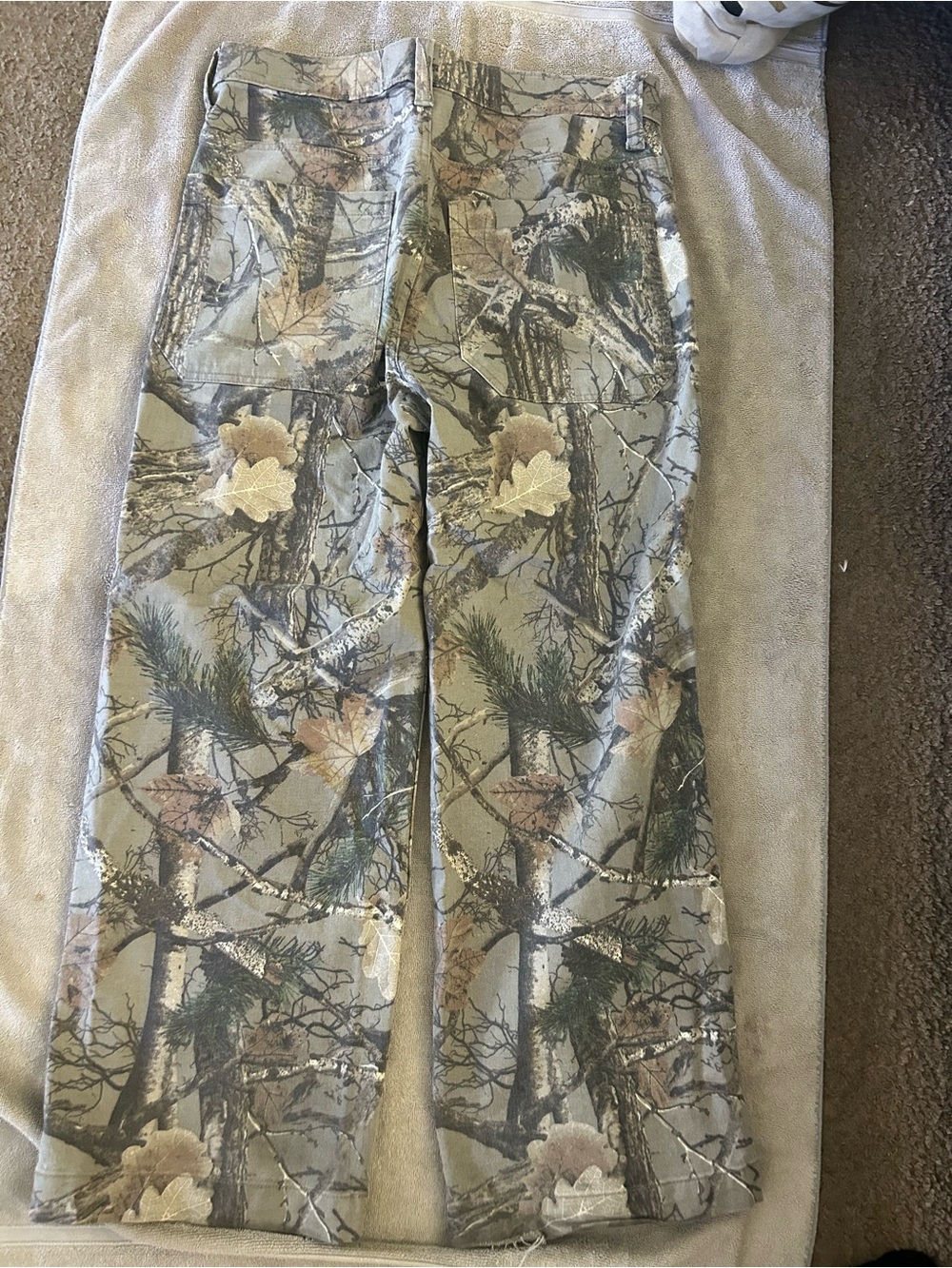 Hollister Super Baggy Pants in Beige with Olive Camo Waistband